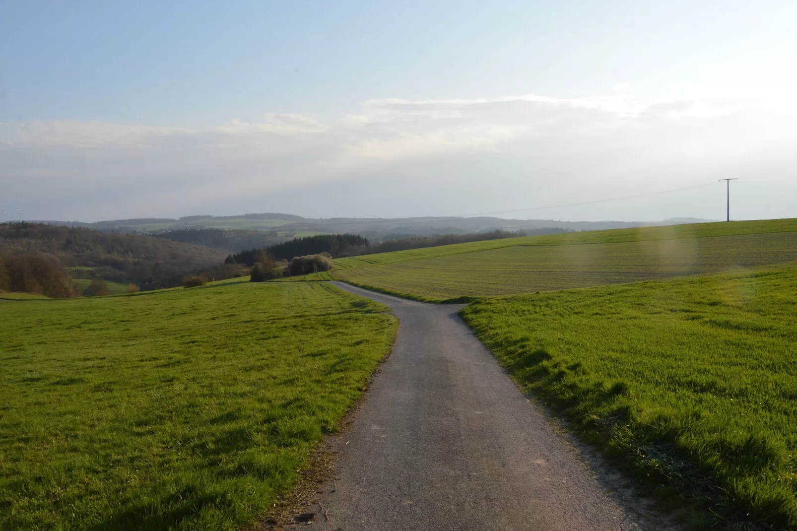Petryhof-Zones d'été à 1 km