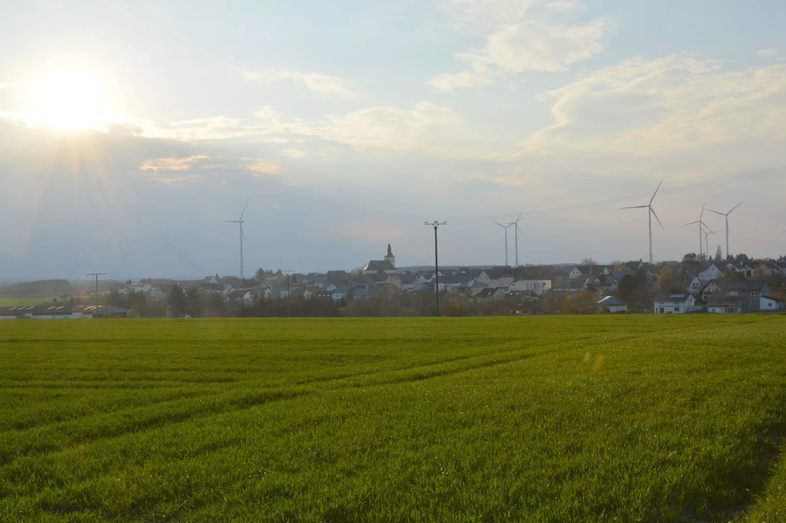 Petryhof-Zones d'été à 5 km
