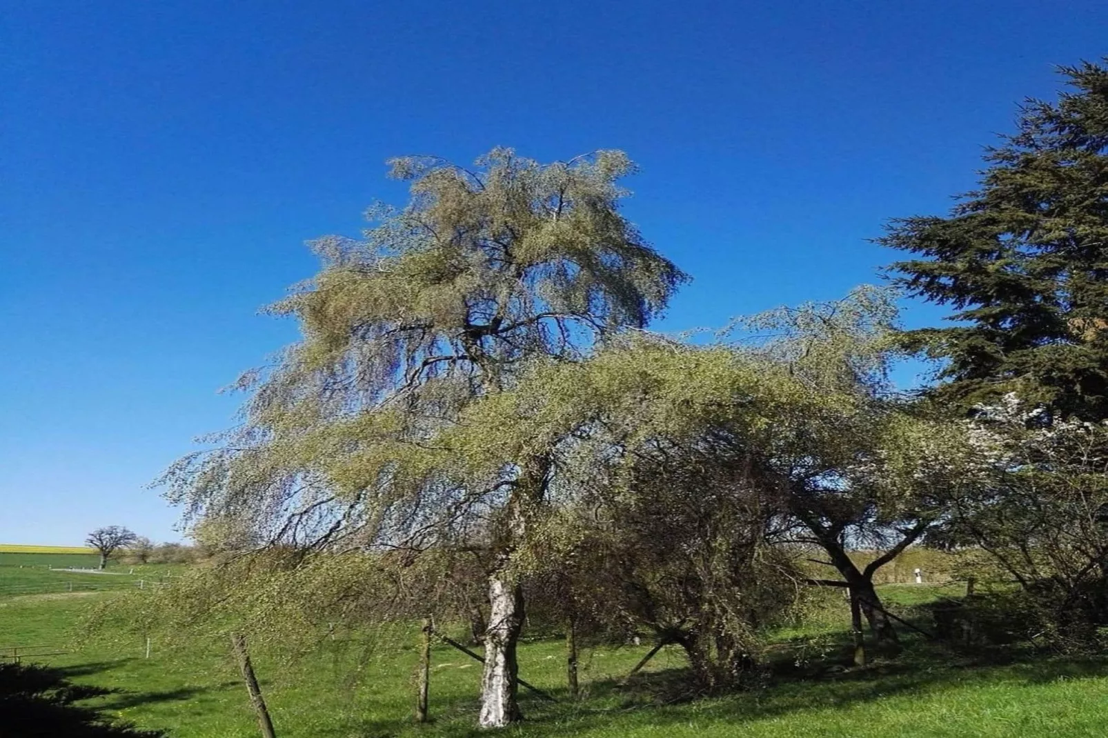 Altes Forsthaus-View summer