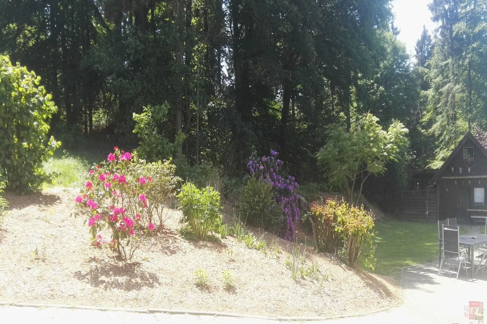 Altes Forsthaus-Gardens summer