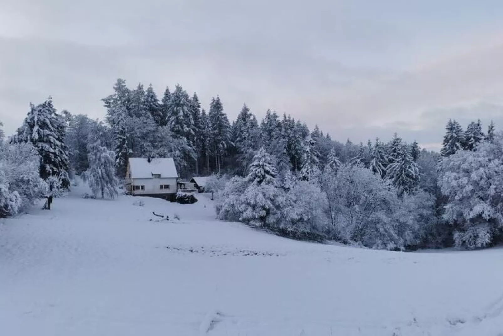 Altes Forsthaus-View winter