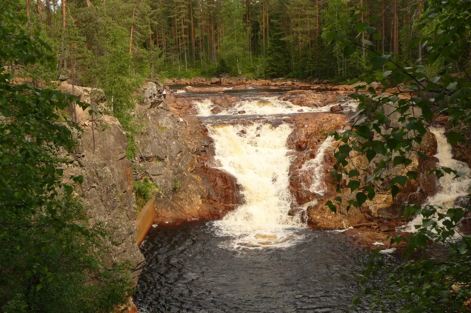 Letafors Herrgård-Areas summer 20km