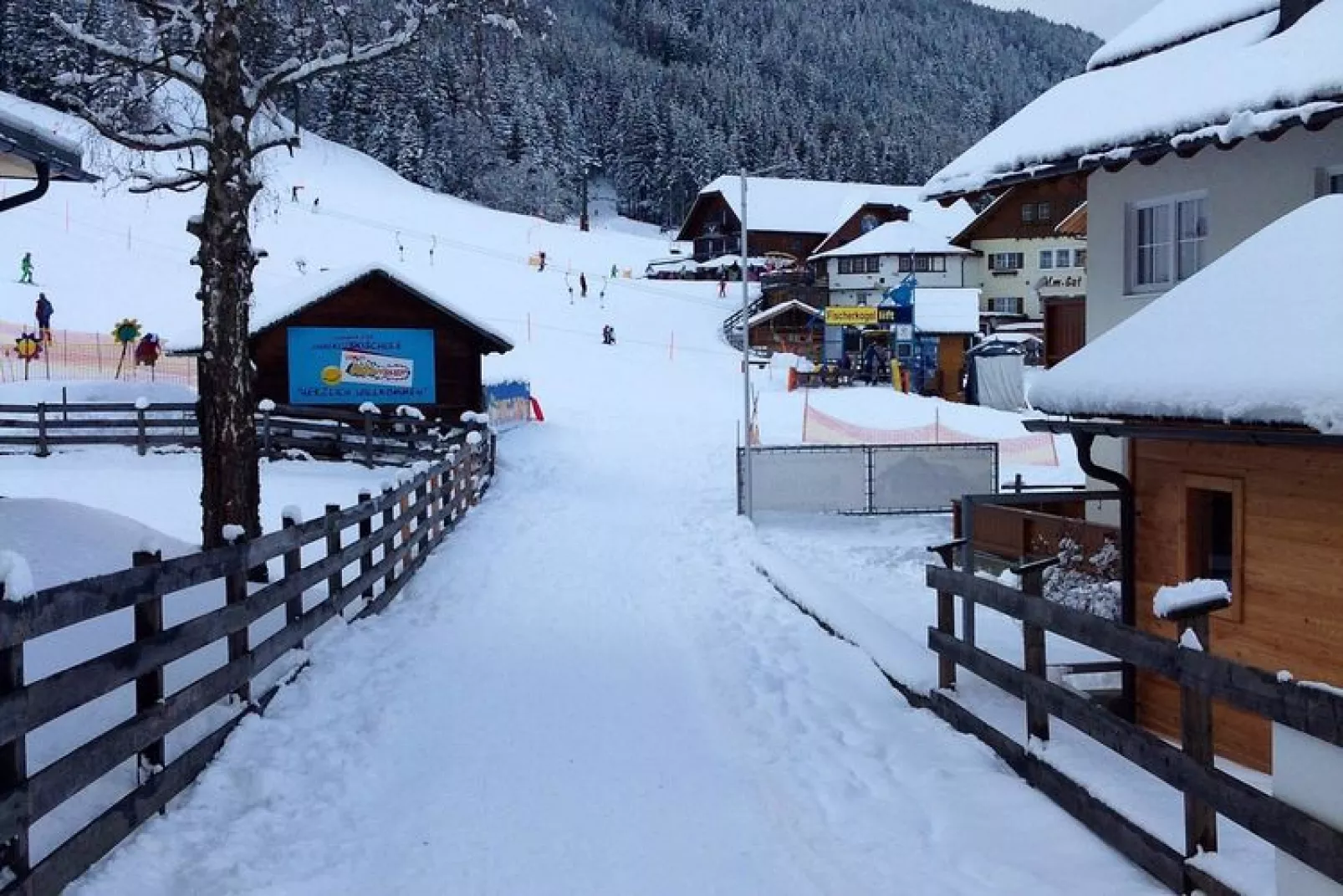 Astrid-Area winter 1km