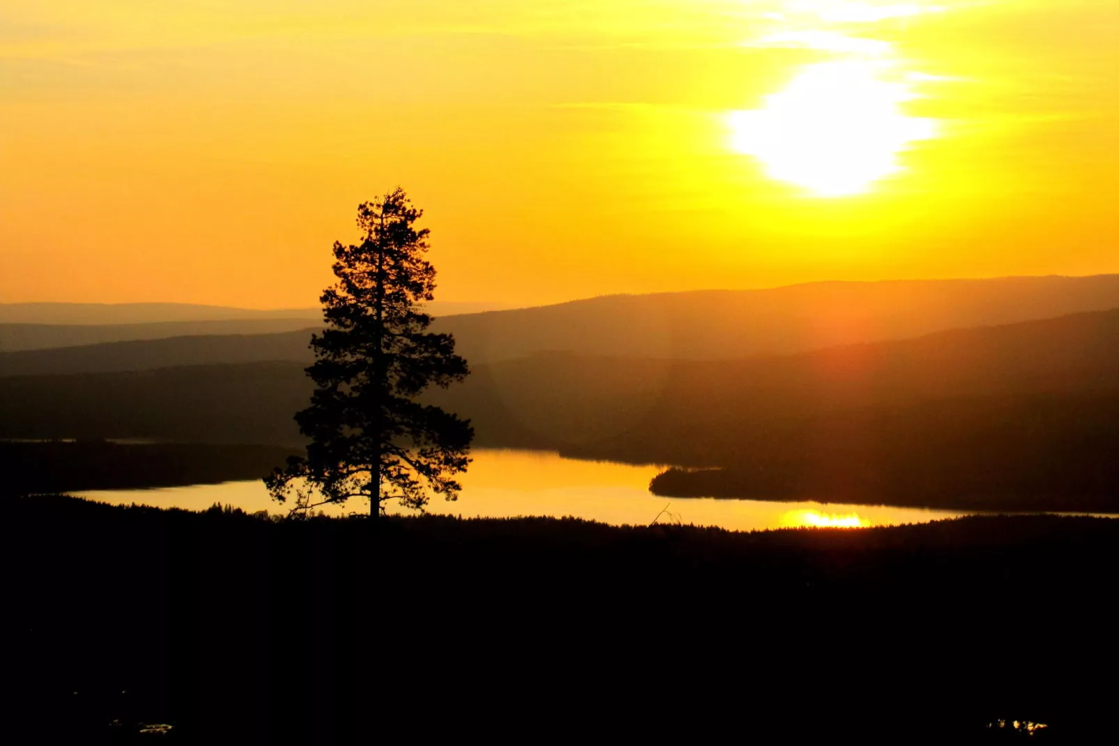 Letafors Herrgård-Areas summer 1km