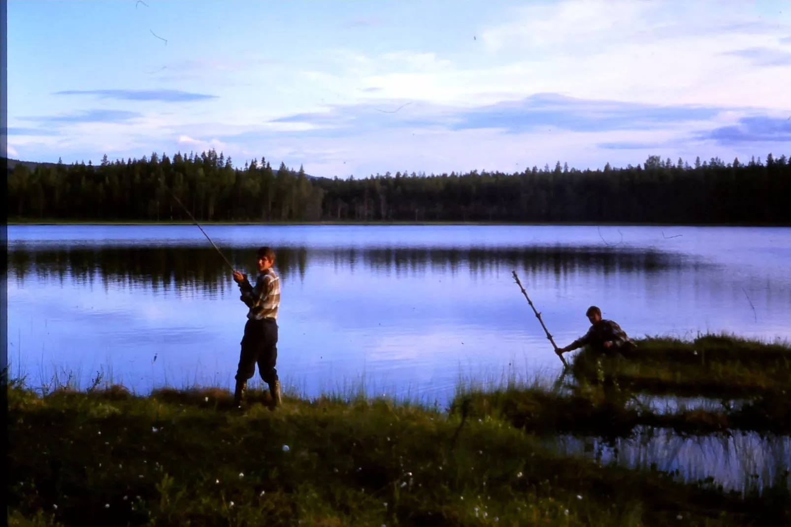 Letafors Herrgård-Areas summer 1km