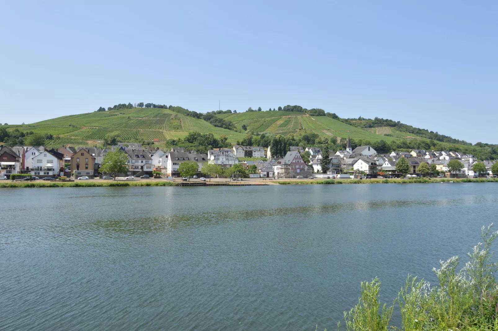 Der Große Schwarze Katz-Areas summer 1km