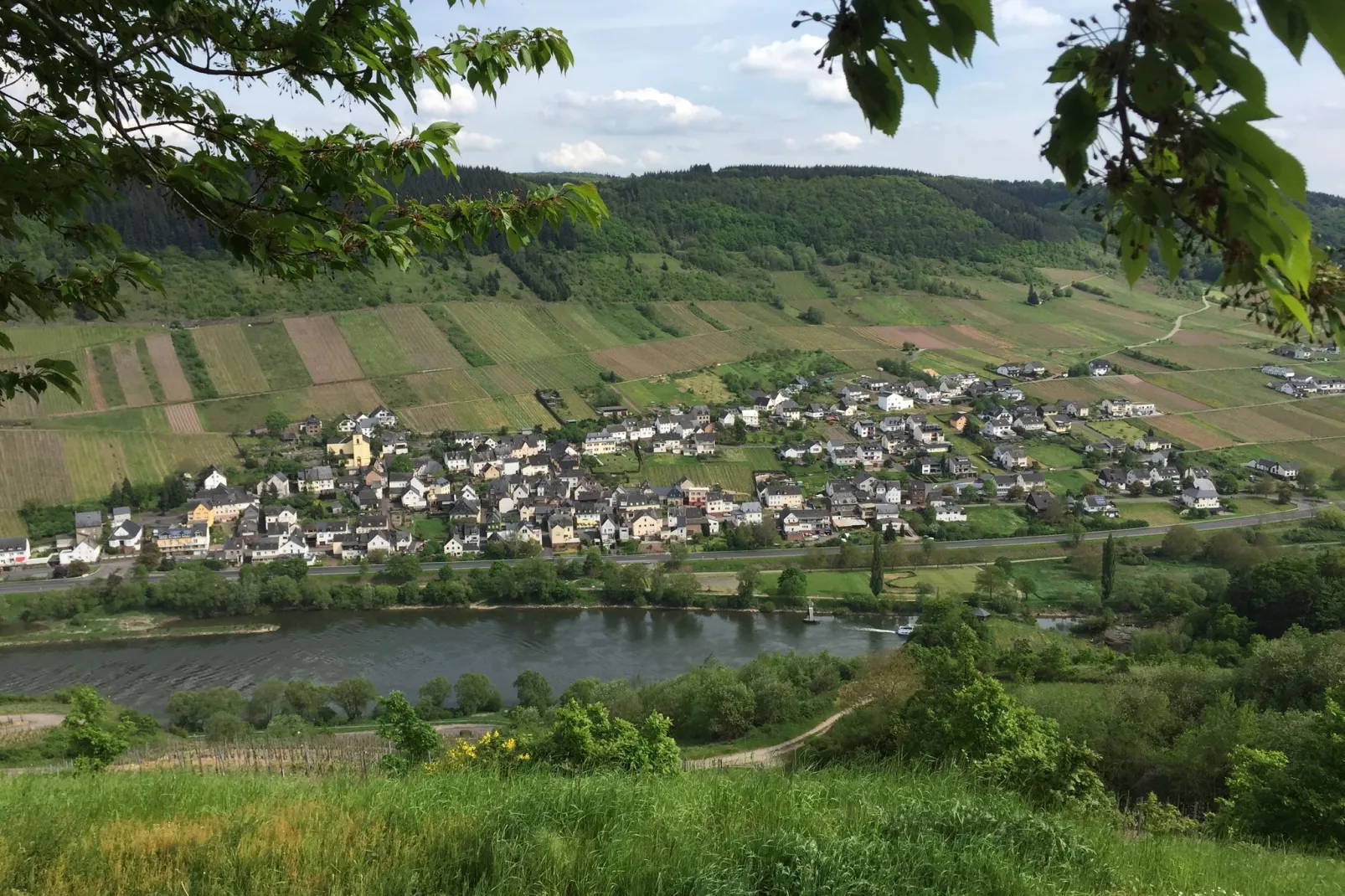 Haus Fritzen-Areas summer 1km