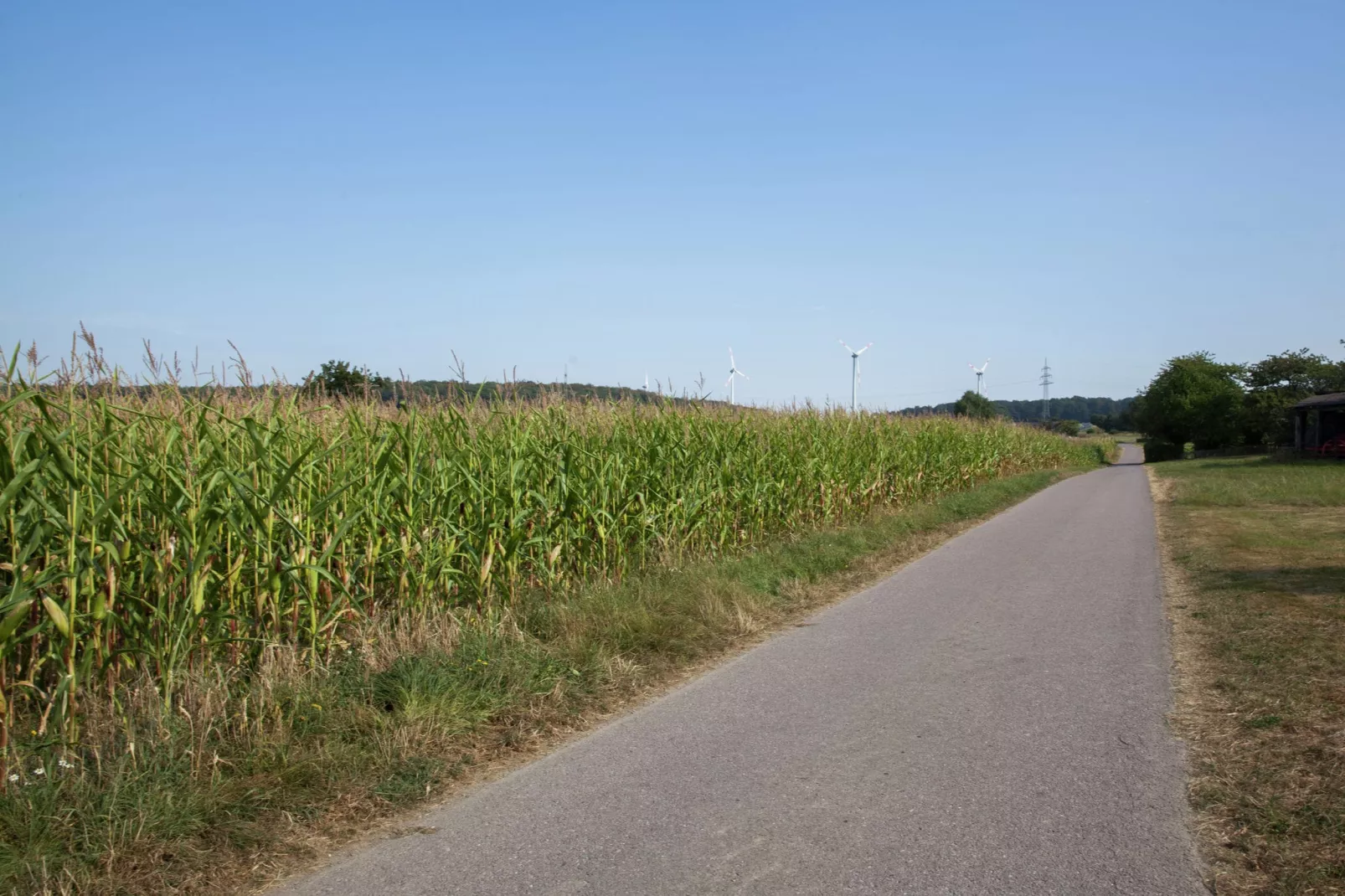 Ferienhaus Irmgard-Areas summer 1km