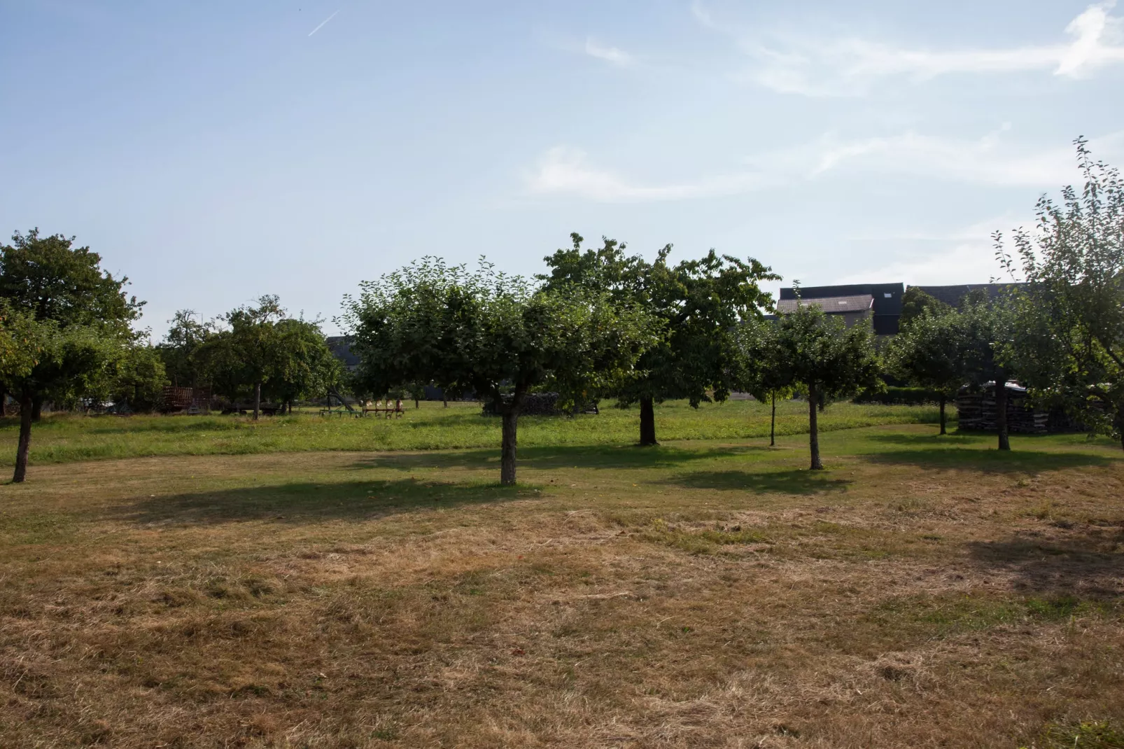 Ferienhaus Irmgard-Areas summer 1km