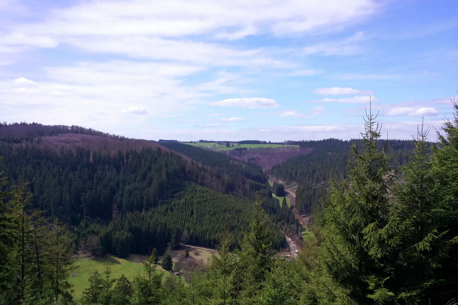 Waldhäuschen-Areas summer 1km
