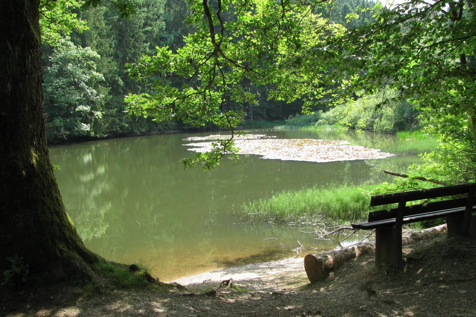 Waldhäuschen-Areas summer 5km