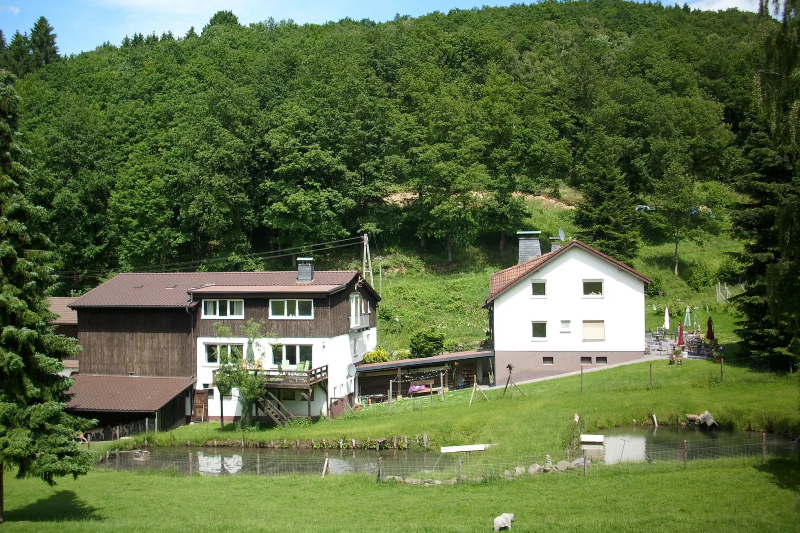 Am Damwildgehege-Exterior summer
