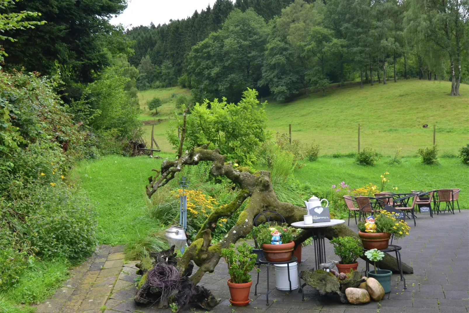 Am Damwildgehege-Gardens summer
