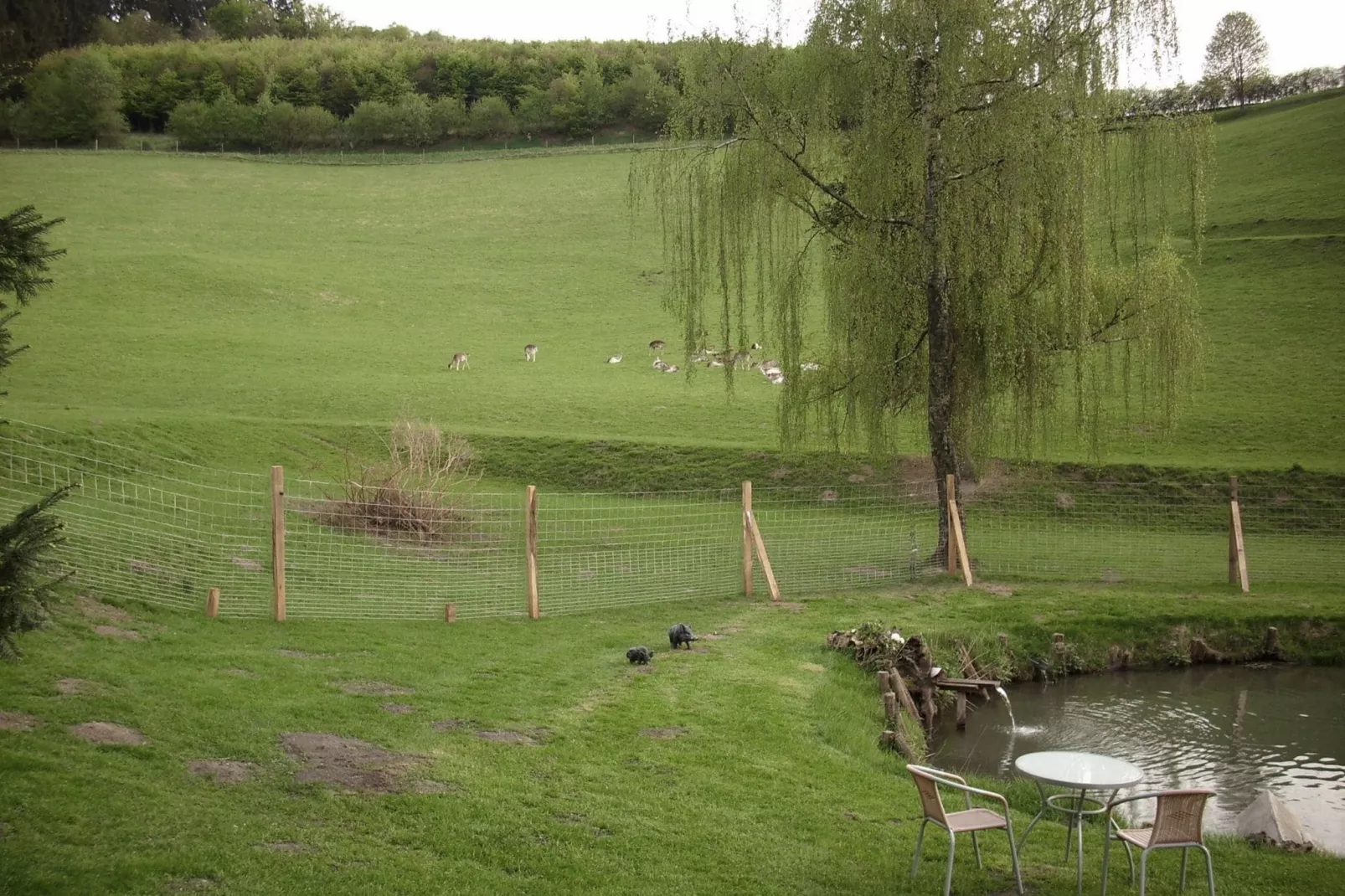Am Damwildgehege-Areas summer 1km