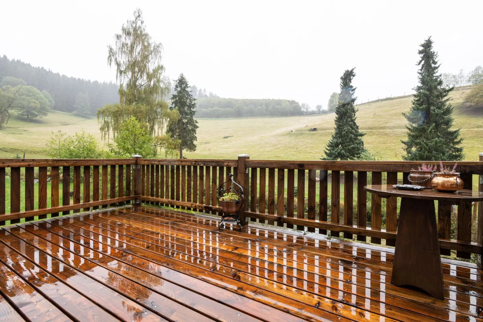 Am Damwildgehege-Terrasse/Balkon