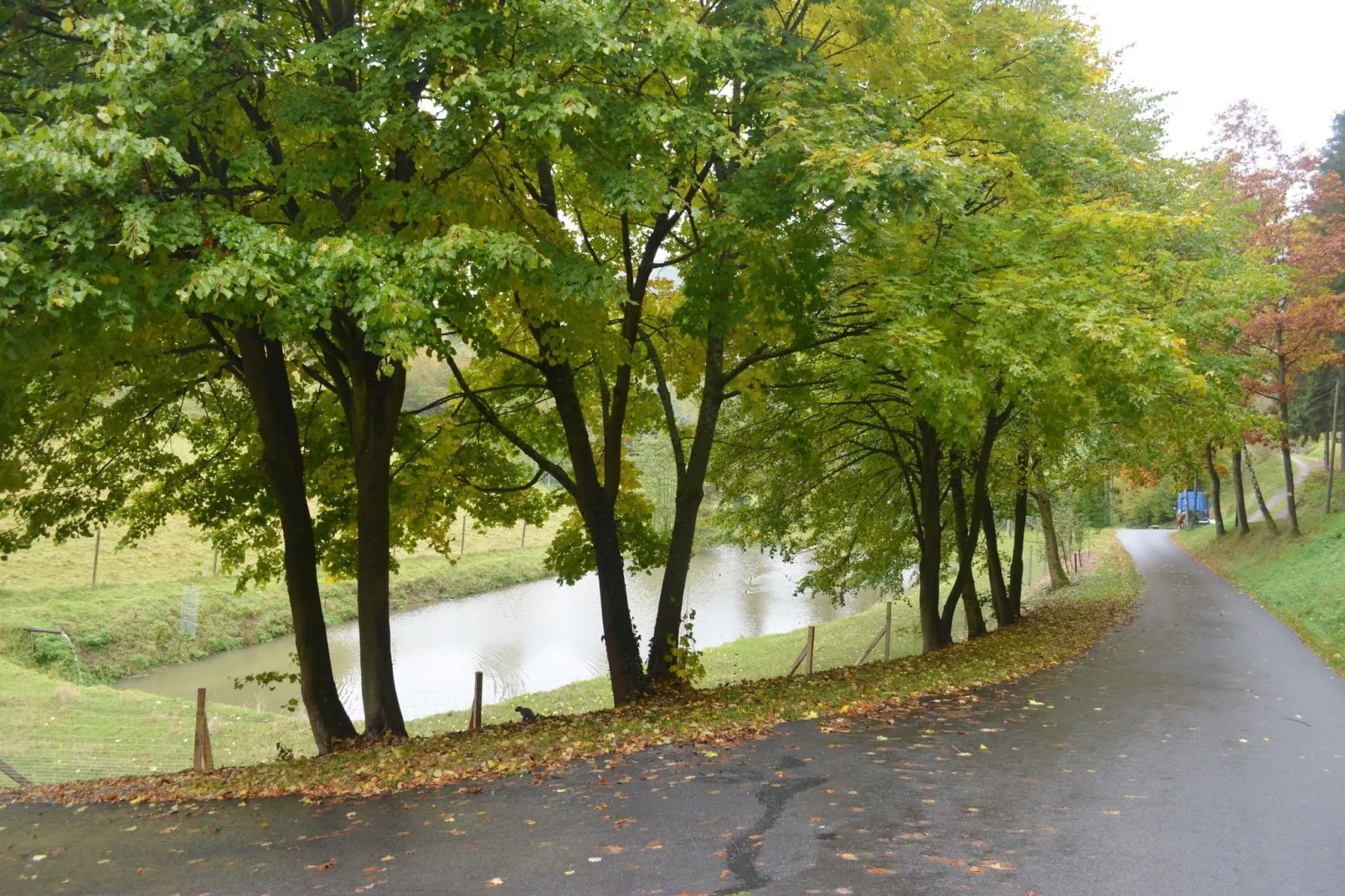 Am Damwildgehege-Gebiete Sommer 1 km
