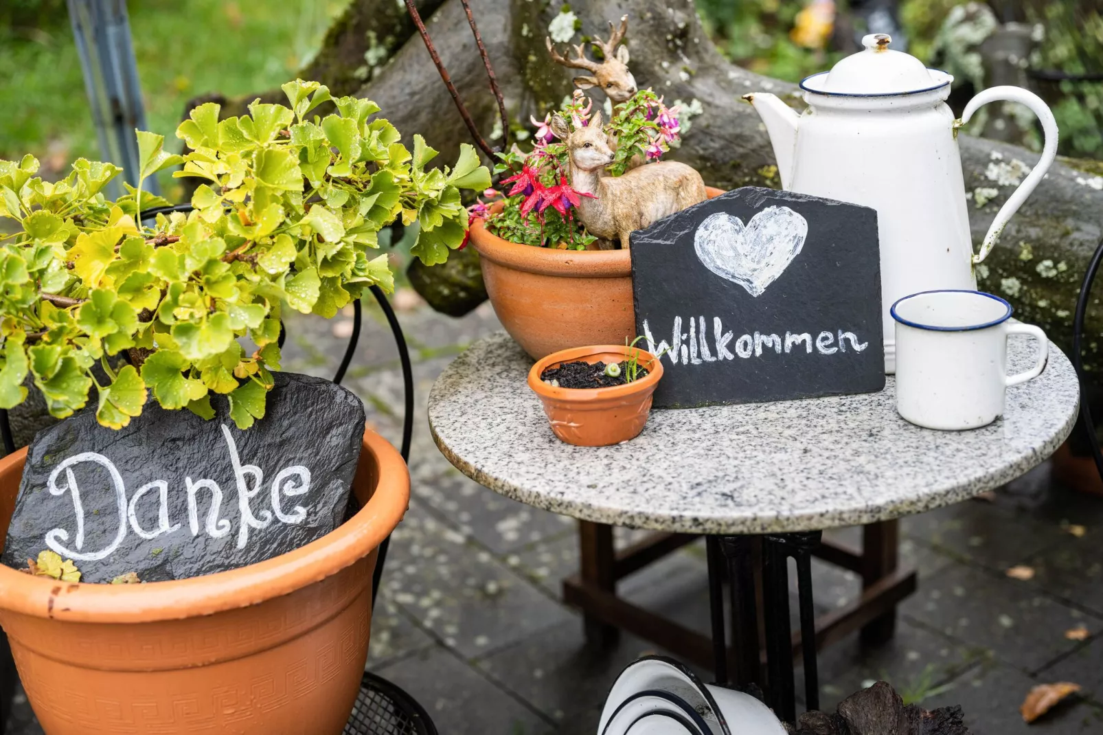 Am Damwildgehege-Ambiente