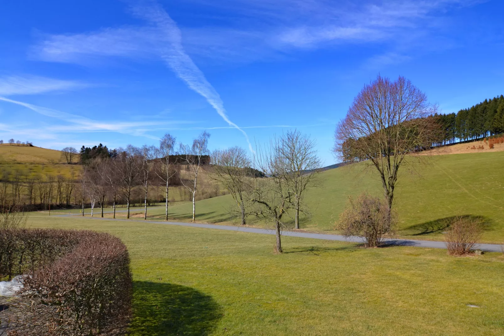 Sellinghausen-View summer