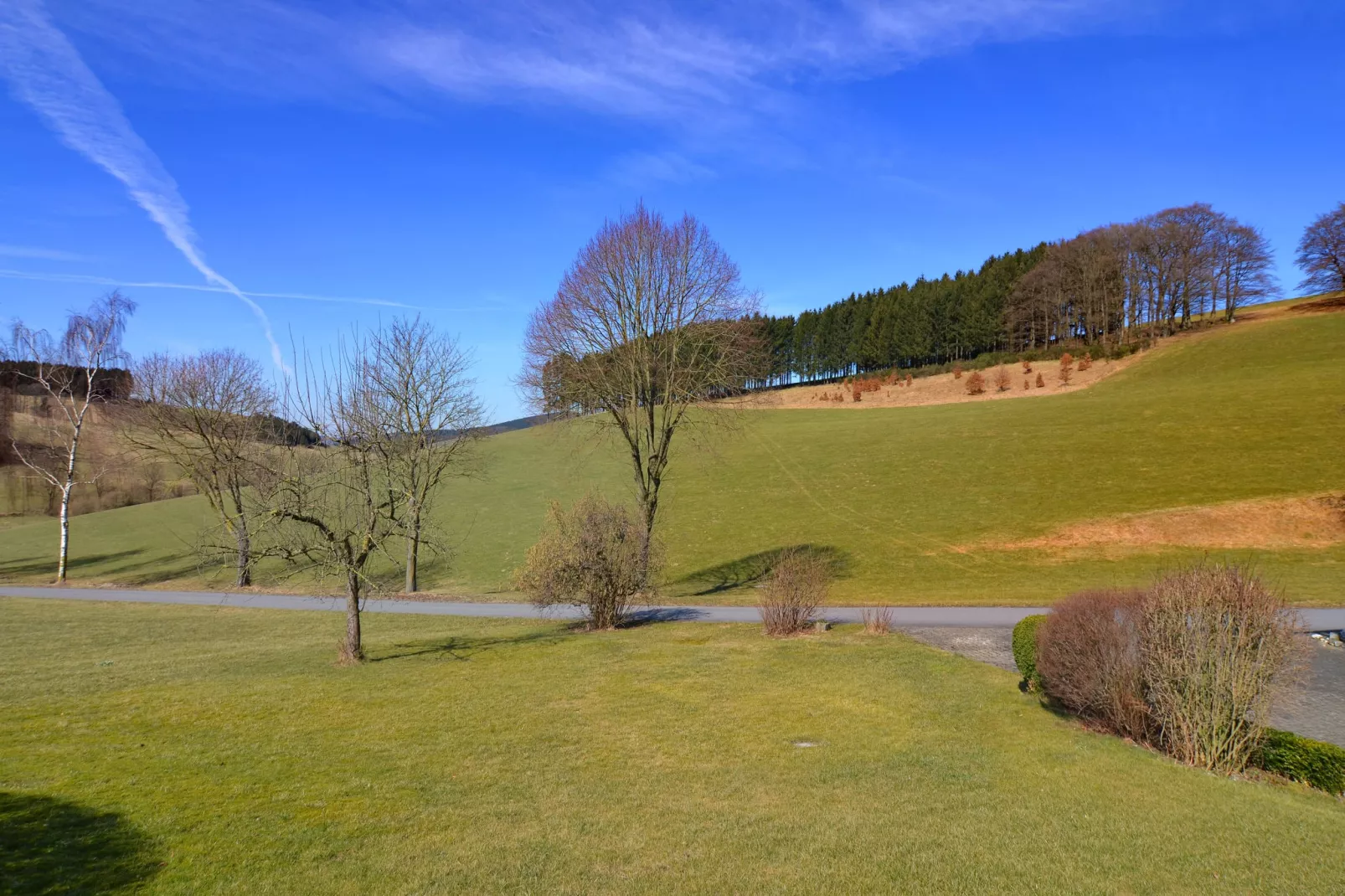 Sellinghausen-Gardens summer