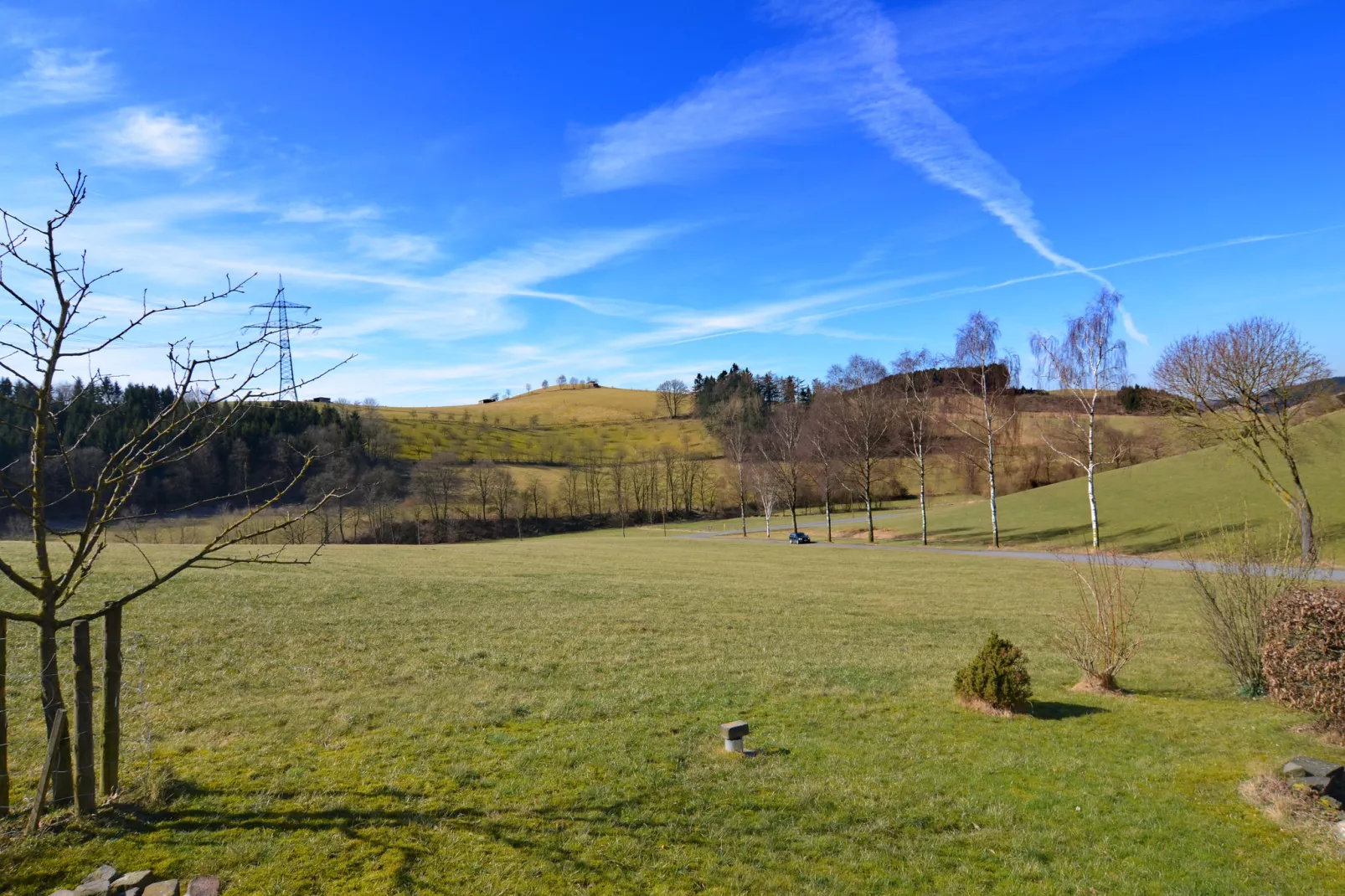 Sellinghausen-Gardens summer