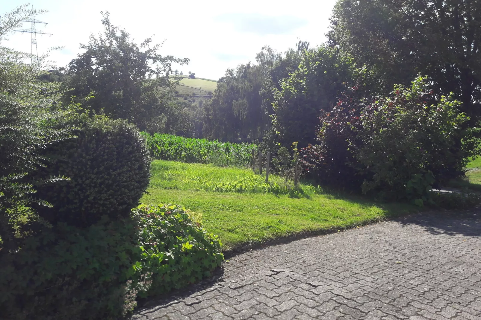 Sellinghausen-View summer