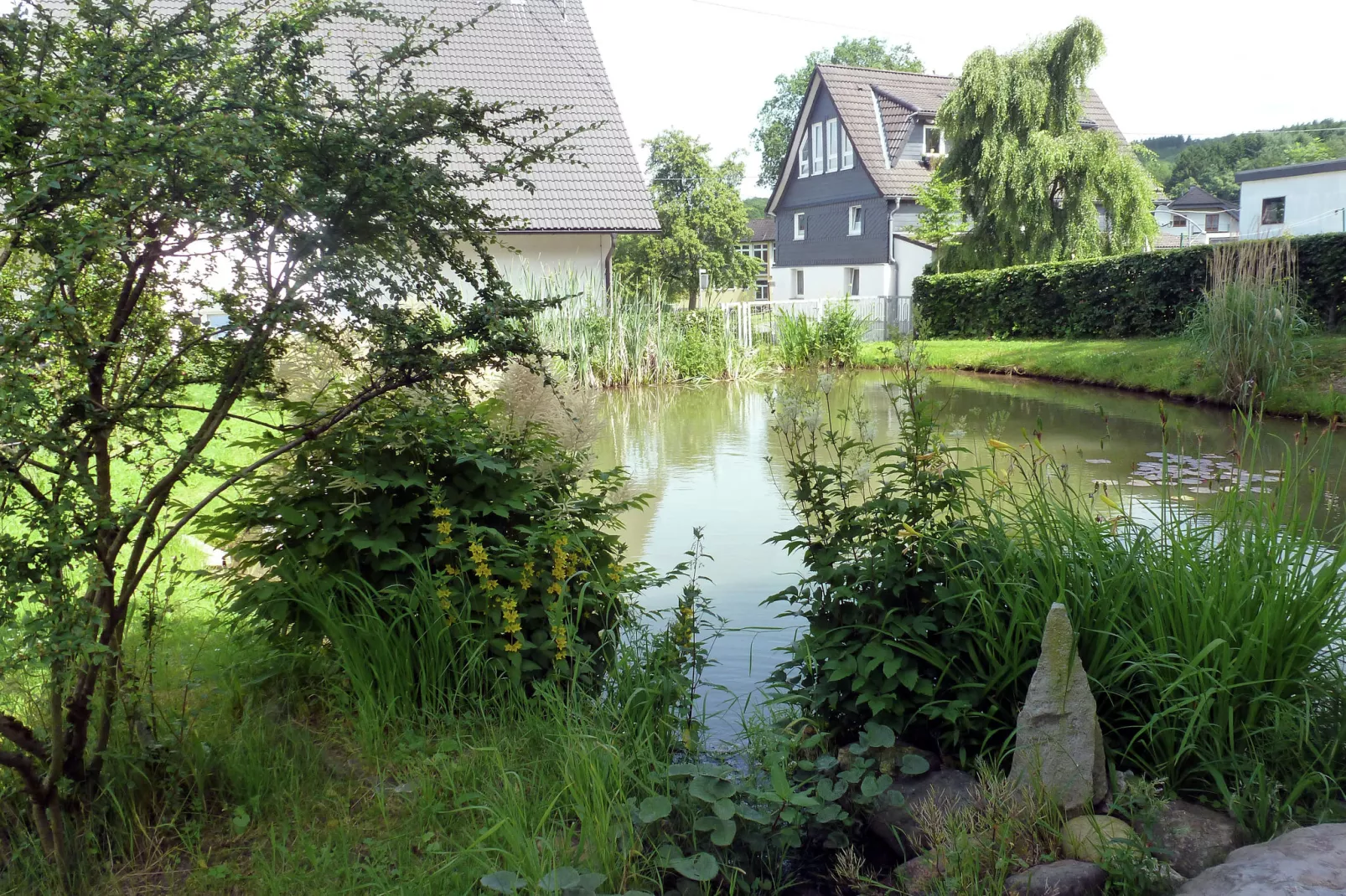 Am Teich-Areas summer 1km