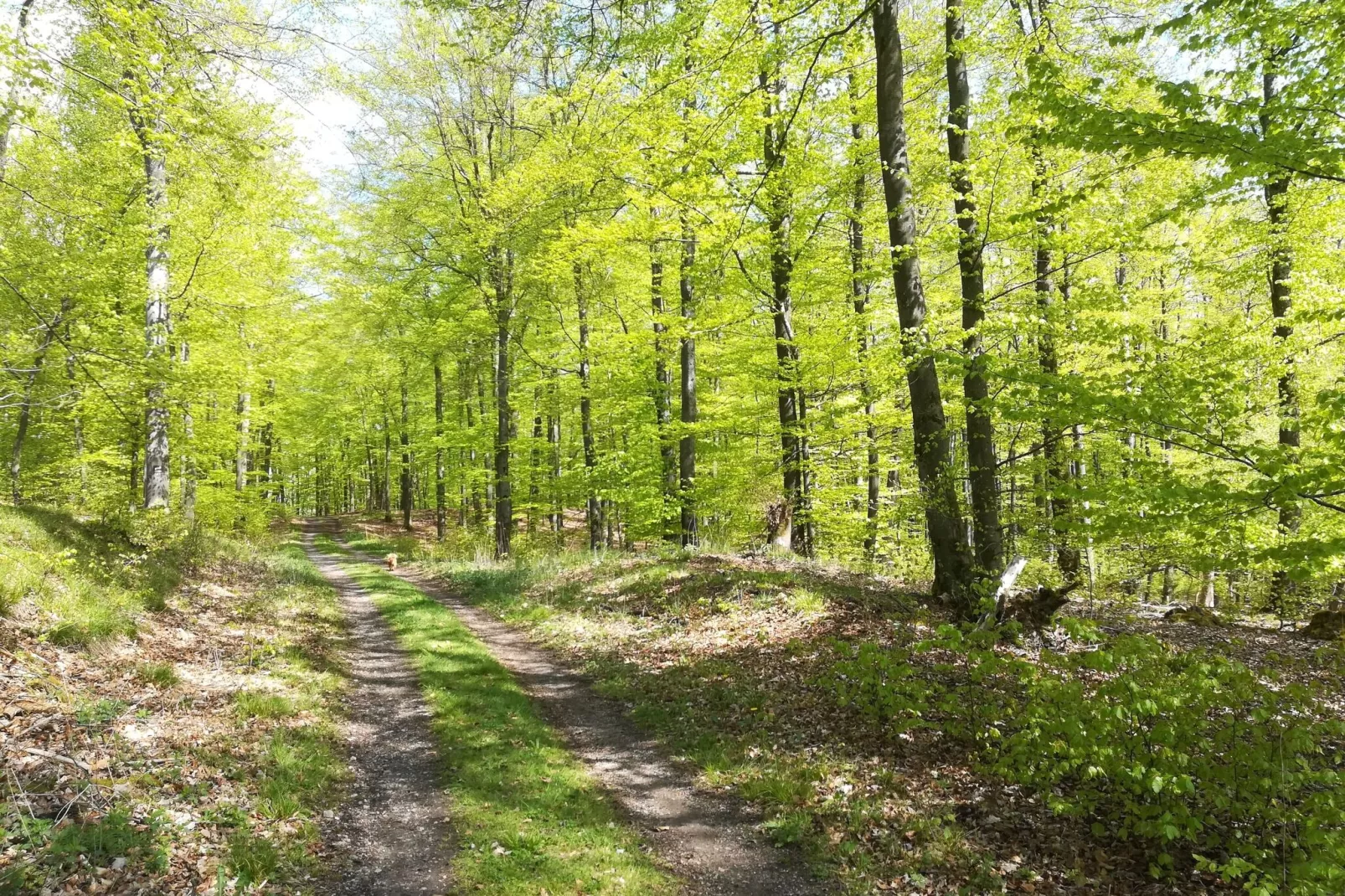 Ferienwohnung Silbecke-Gebiete Sommer 1 km