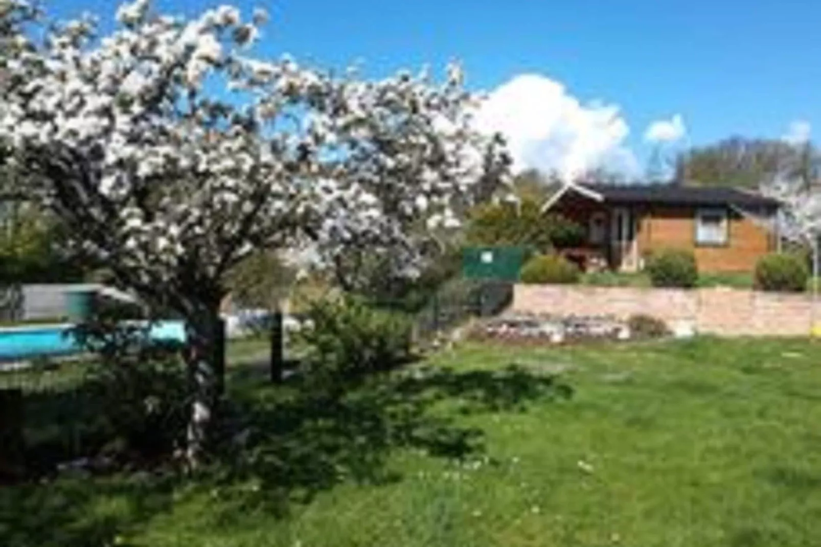 Ferienwohnung Silbecke-Gärten Sommer