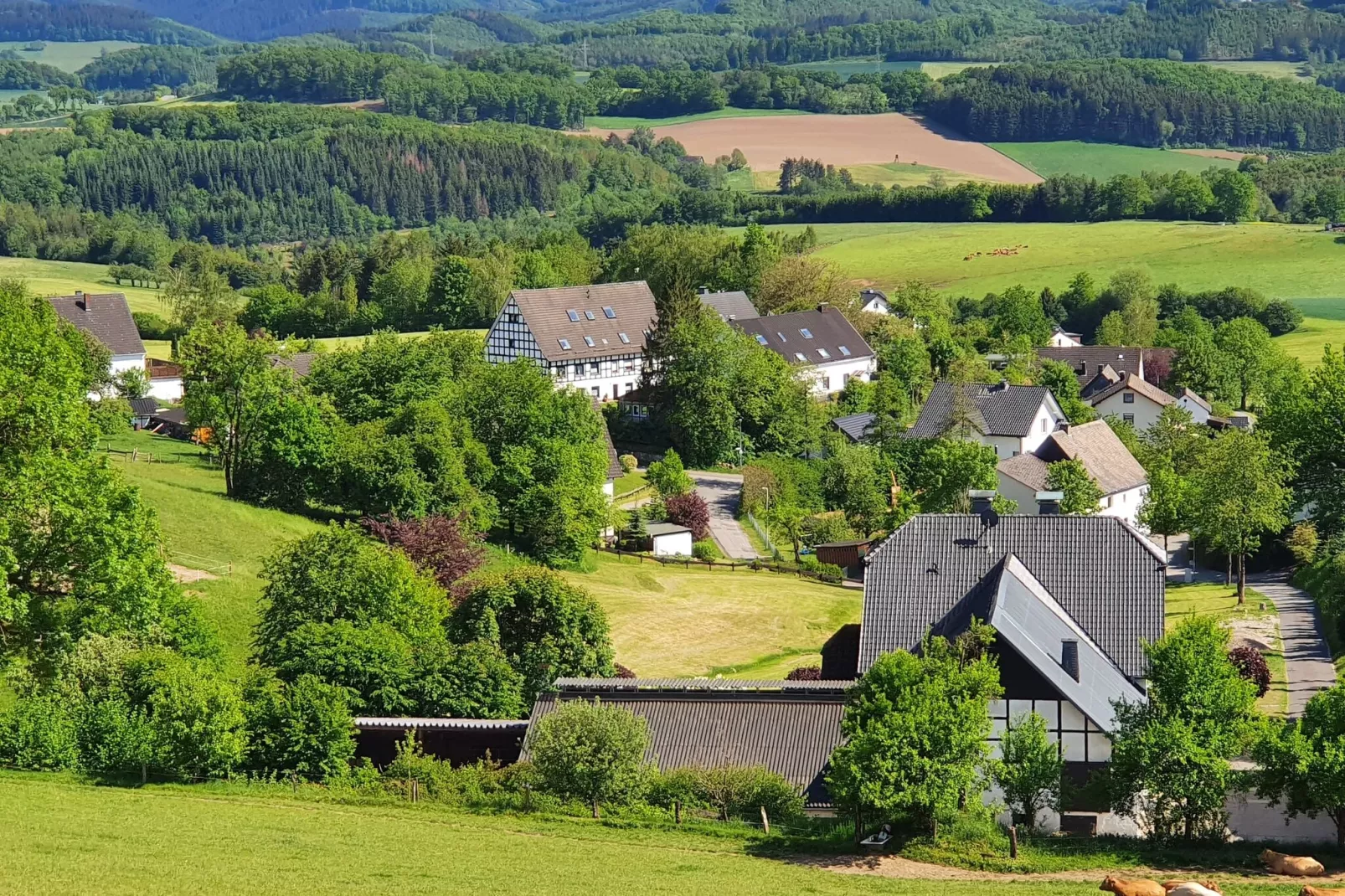 Ferienwohnung Silbecke-Gebiete Sommer 1 km