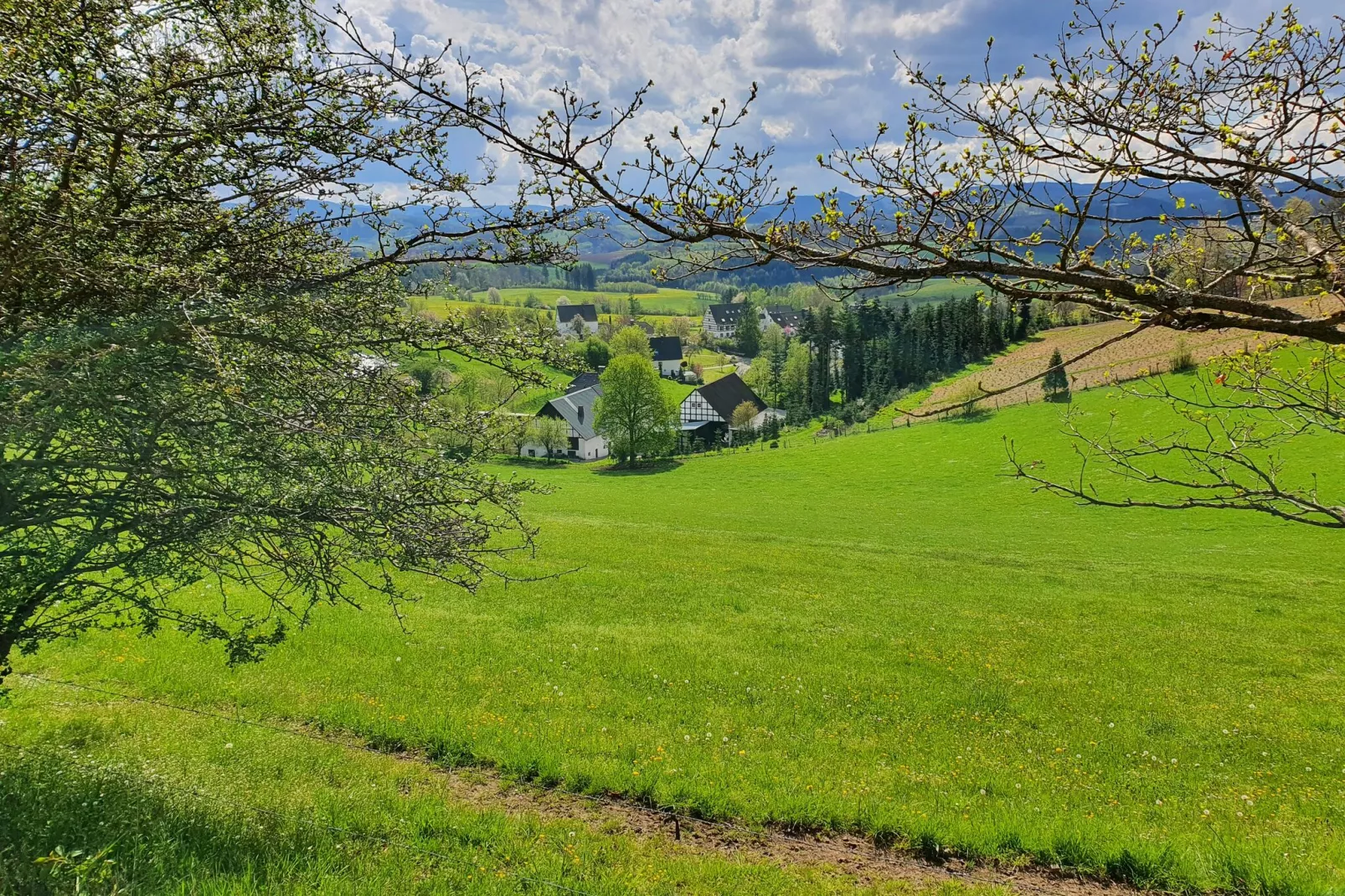 Ferienwohnung Silbecke-Gebiete Sommer 20 km