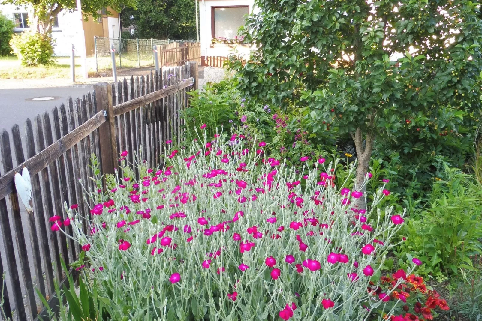 Im Westerwald-Gardens summer