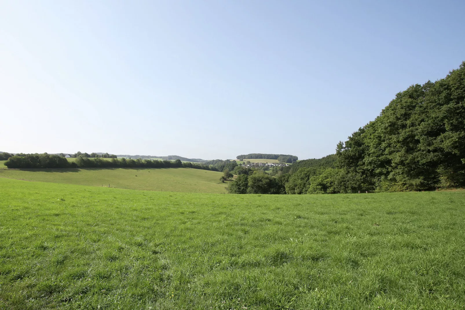 Im Westerwald-View summer