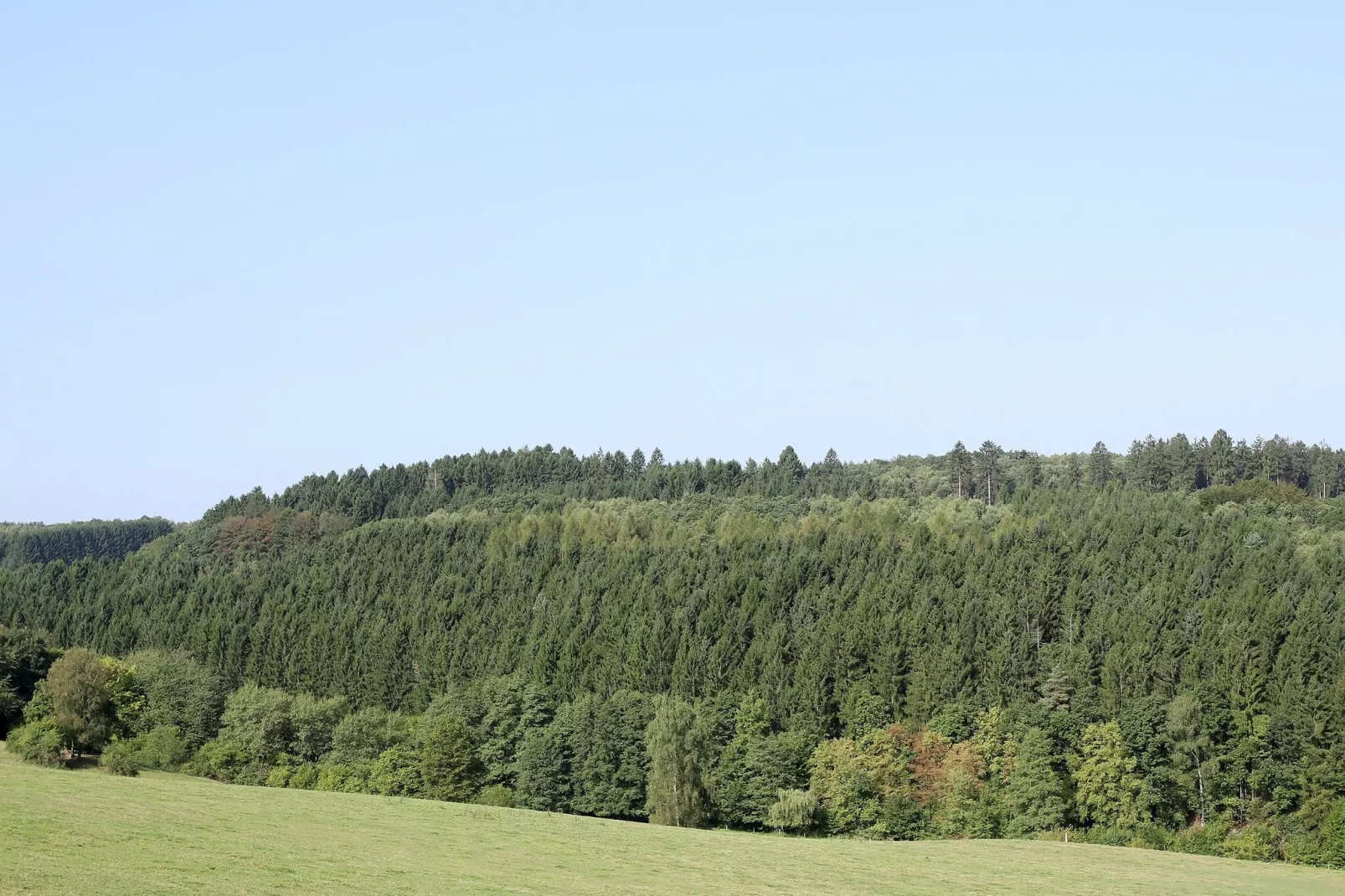 Im Westerwald-Areas summer 1km