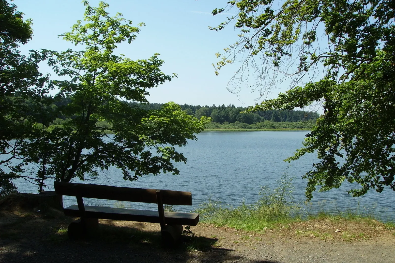 Im Westerwald-Areas summer 20km
