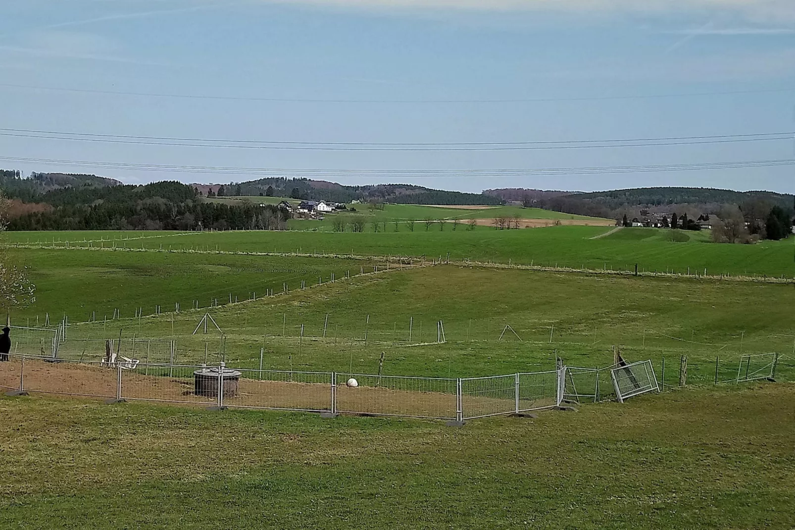 Alpaka-Farm-View summer
