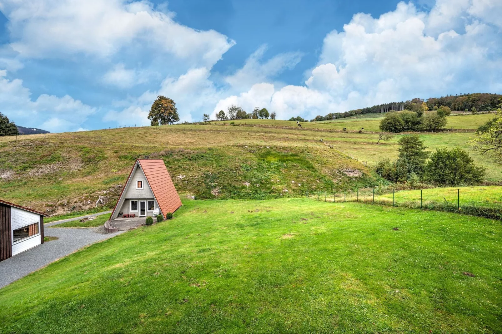 Dachsbau-View summer