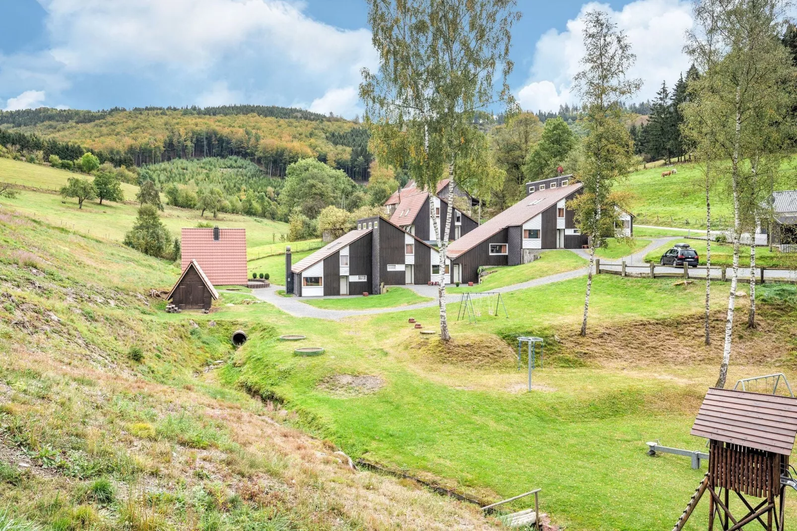 Dachsbau-Areas summer 1km