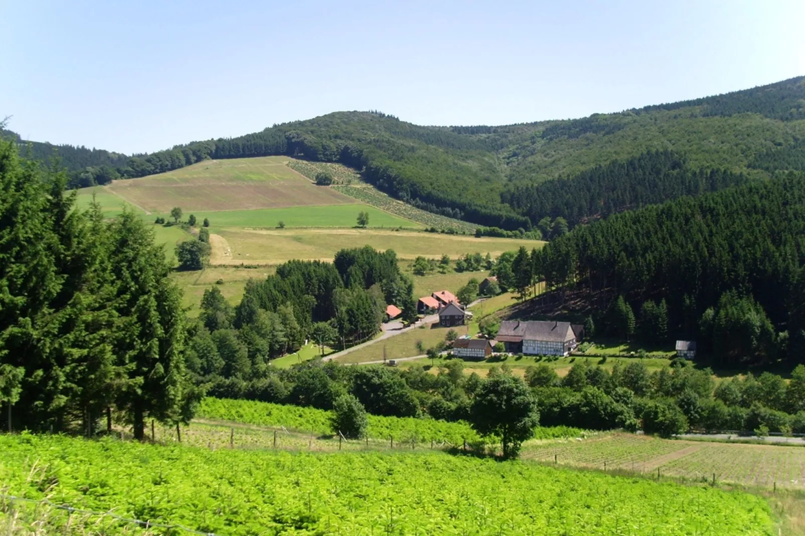 Dachsbau-Areas summer 20km