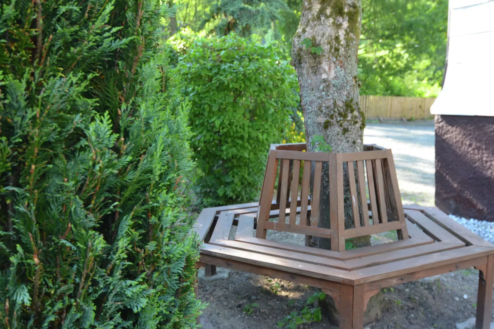 Bestwig-Garten Sommer