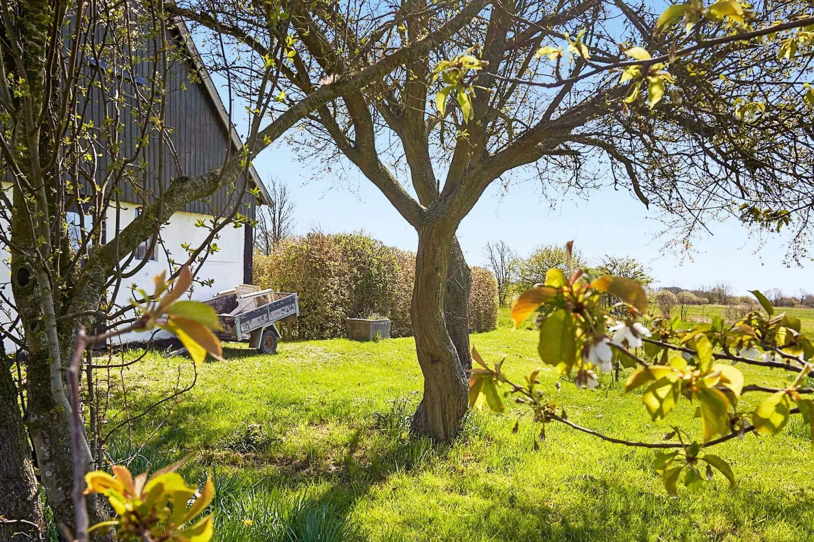 6 Personen Ferienhaus in Aakirkeby-Im Freien