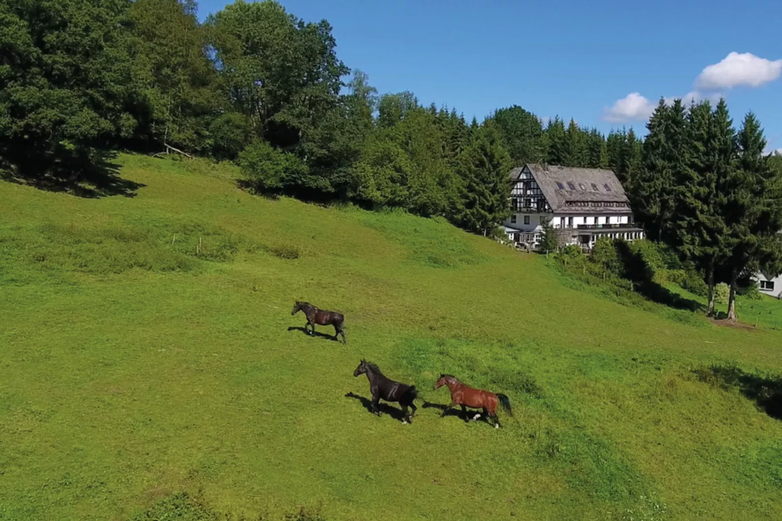 Landhaus Winterberg-Gebiete Sommer 5 km