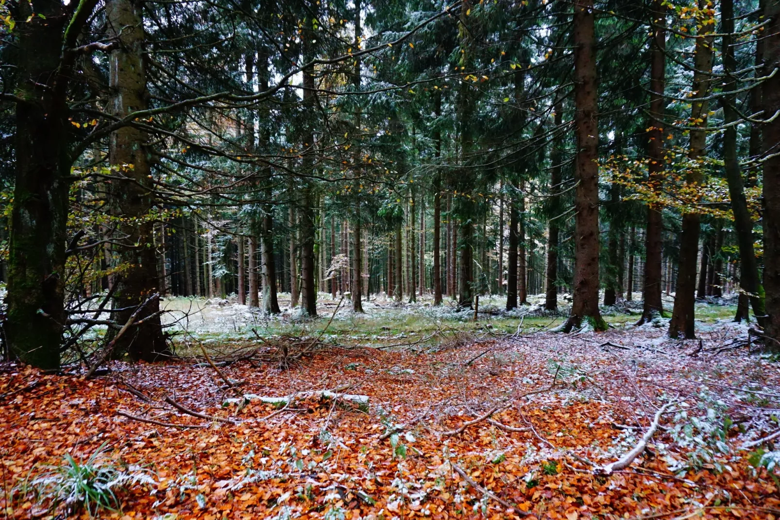 Landhaus Winterberg-Gebiet Winter 5 km