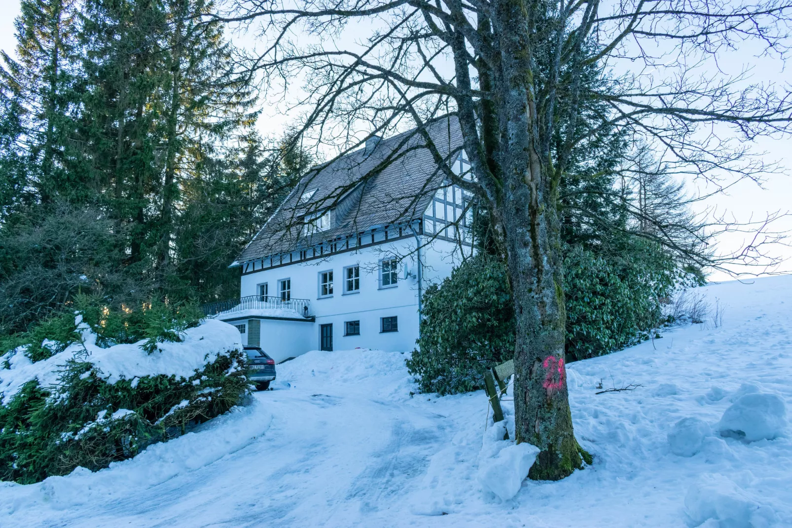 Idyllic holiday home near the ski area-Garden winter