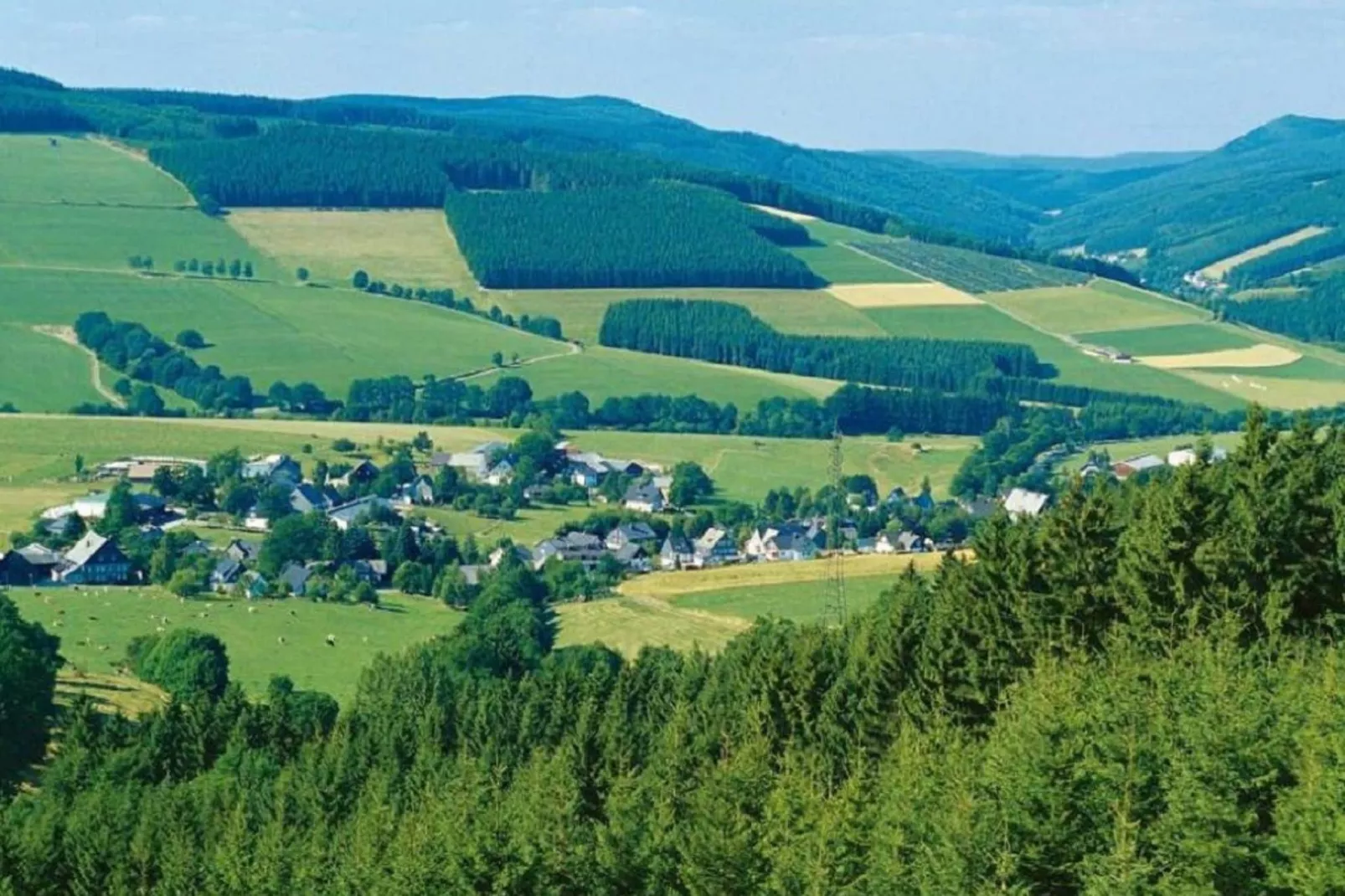 Im Hohlen Seifen 10-L-Areas summer 5km