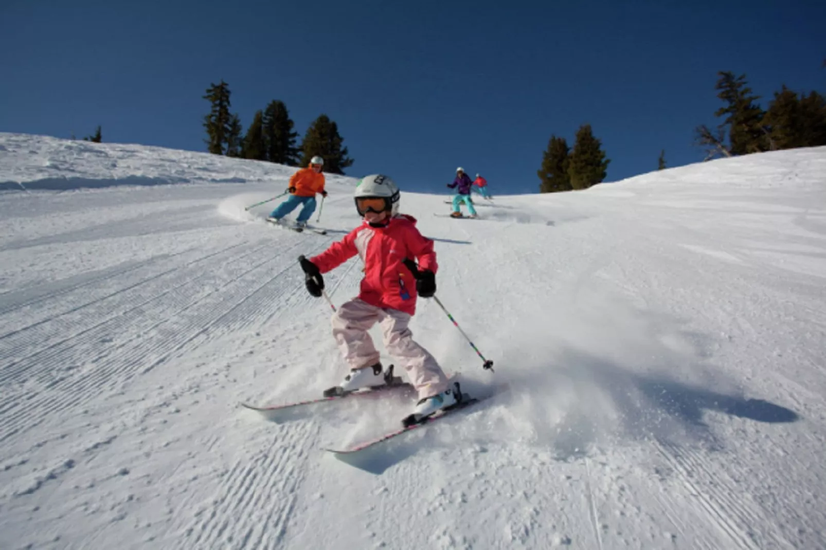 Im Hohlen Seifen 10-L-Area winter 5km