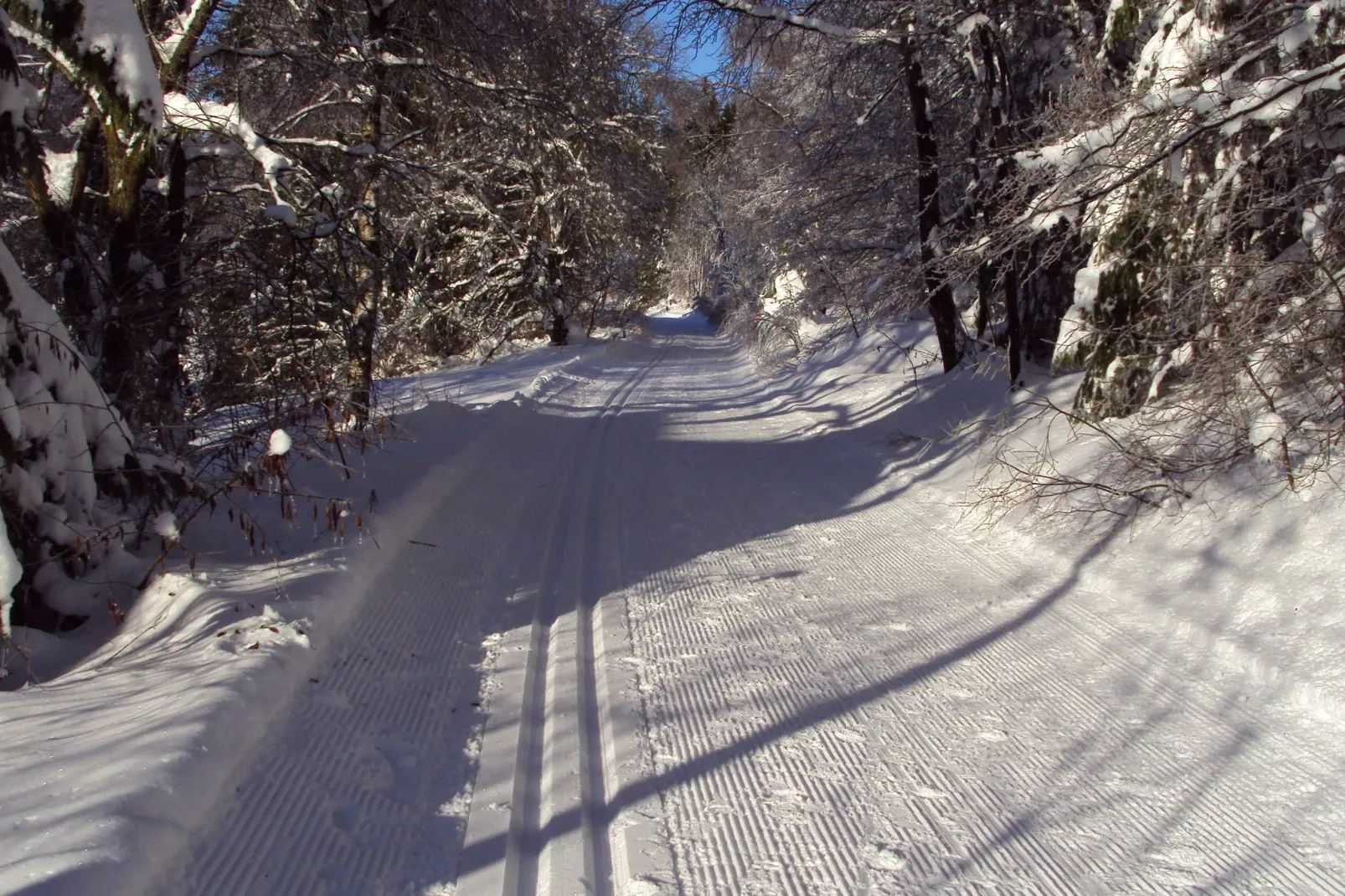 Zum Kahlen Asten-Area winter 5km
