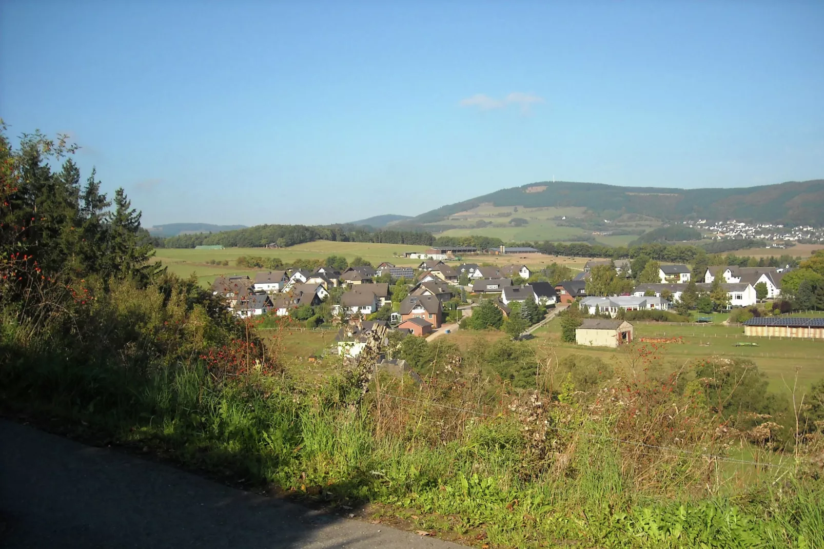 Martin-View summer