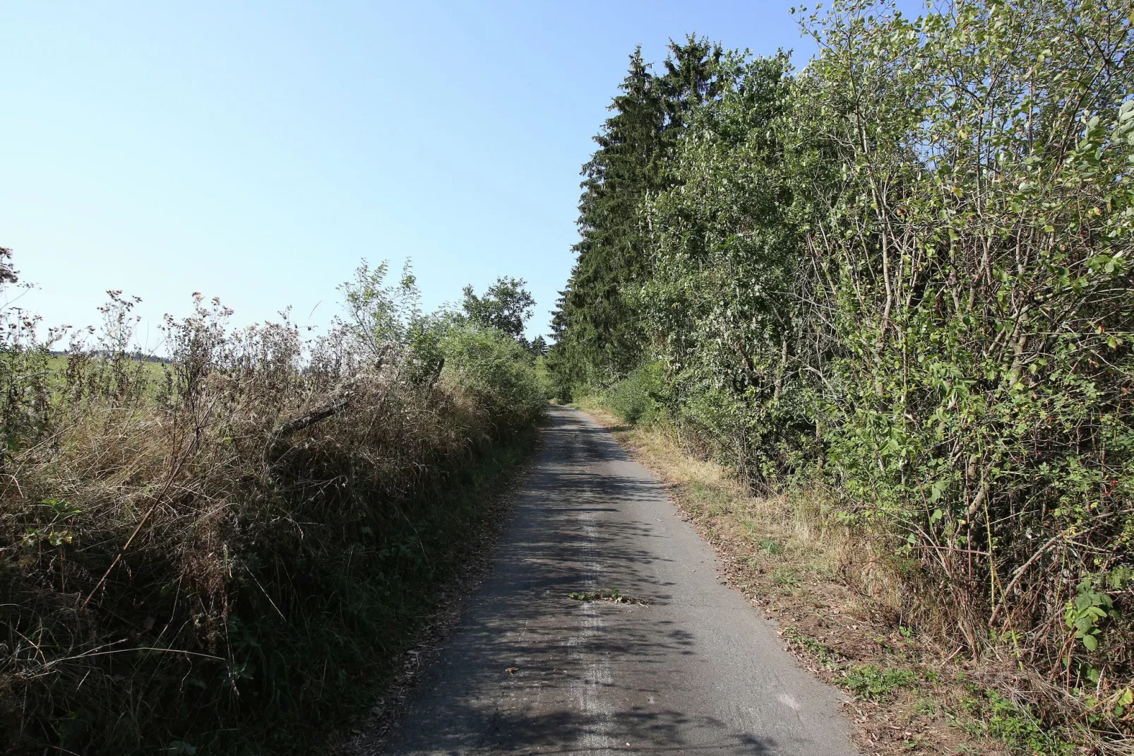 Grabenhaus-Areas summer 5km