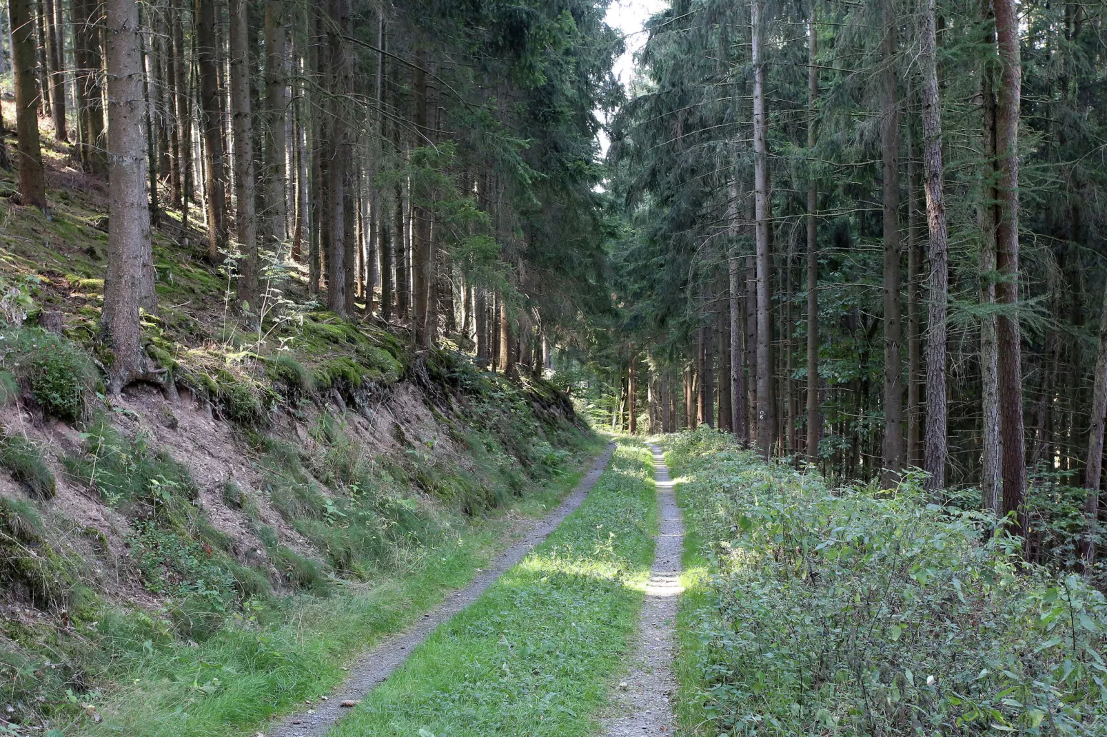 Grabenhaus-Areas summer 20km