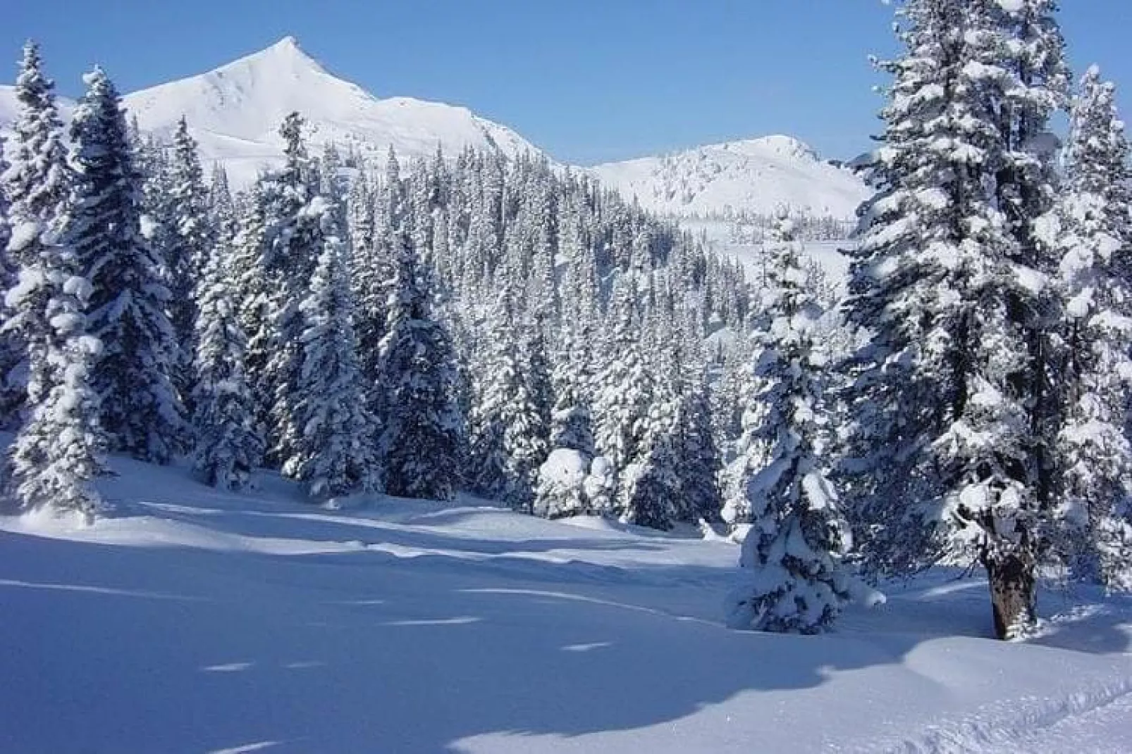 Medebach-Gebiet Winter 20 km